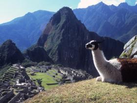 Machu Picchu