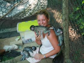 Caring for baby monkeys