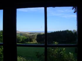 Through the window