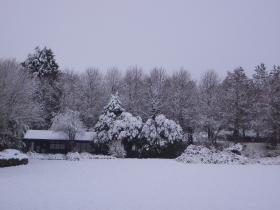 In the snow