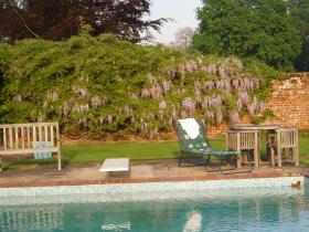 The garden pool in summer