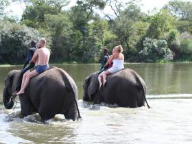 Swimming with elephants, Antelope Park, Zimbabwe