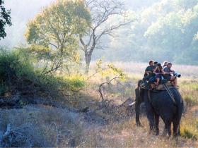 Elephant safari in Corbett National Park, India