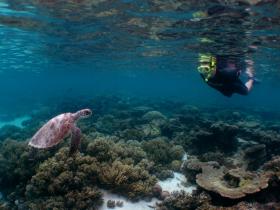 Ningaloo Reef sailing holiday, Western Australia