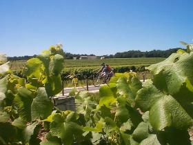 Cycling and wine holiday in Bordeaux