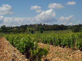 Provence self guided cycling holiday, Gastronomic
