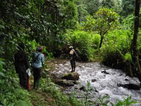 Trekking in the rainforests of the Udzuzngwa Mountains