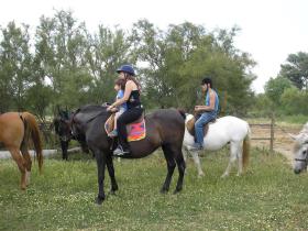 Horse Riding