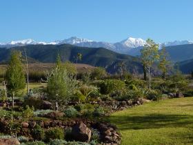 View from gardens