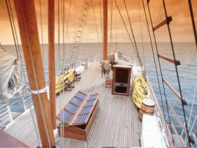 Galapagos cruises