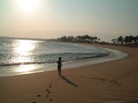 Sri Lanka wildlife and whales tour