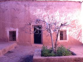 the Babel house courtyard