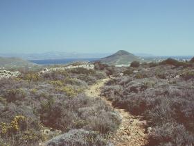 Beautifully preserved Byzantine path