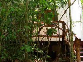 Yucatan Peninsula jungle eco cabin accommodation, Mexico