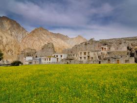 Markha Village