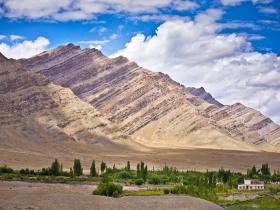Typical Irrigated Ladakhi Village