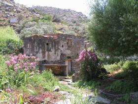 Ruined mill house and oleander