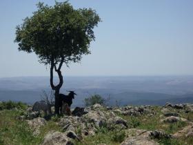 Andalucia walking & local cuisine holiday