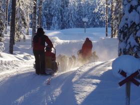 Tailor made husky safari in Wild Taiga, Finland