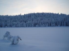 Snowy landscape on the trail
