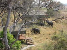 Nkasa Lupala national park lodge in Namibia