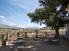The terrace