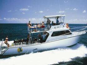 Reef Divers