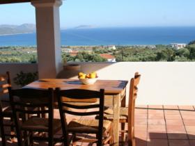 view from the terrace