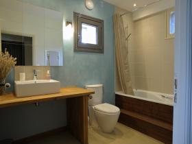 Private guest bathroom