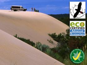 Pemberton half day tours in Western Australia