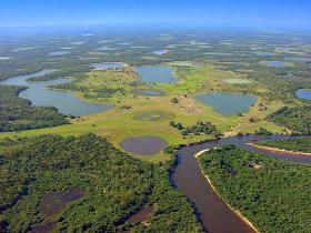 The Pantanal