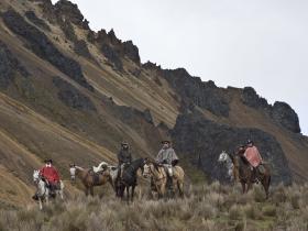 Paramo heights