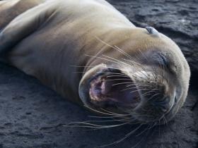 Peru and Galapagos adventure holiday