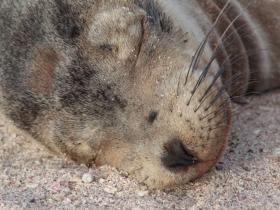 Ecuador and Galapagos holiday