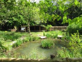 Nature rambles and pond dipping