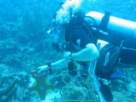 Laying the survey transect line
