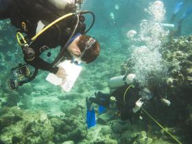 Underwater surveying
