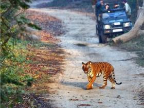 India adventure holiday
