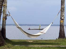 Relax in a hammock