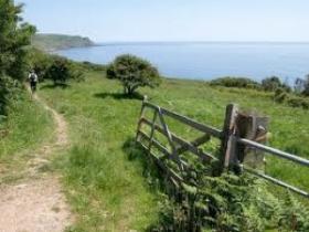 Coastal Path near Branscombe