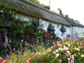 Branscombe Cottages