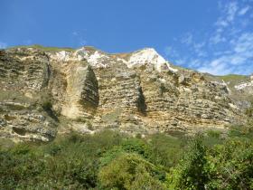 Branscombe Undercliff