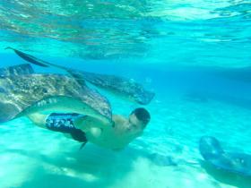 Swimming with the Southern Stingrays