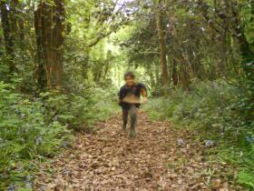 Romping in the ancient woodland