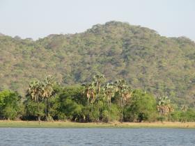Liwonde National Park