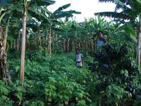 Community & holiday project in Uganda