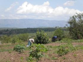 Community & holiday project in Uganda