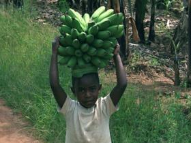 Community & holiday project in Uganda