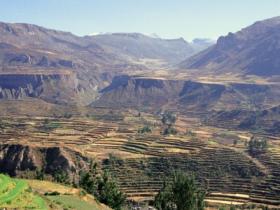 Colca Canyon - Peru