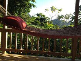 Dominca rainforest eco lodge